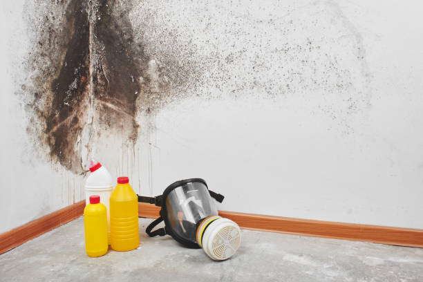 North Prairie, WI Mold Removal Company