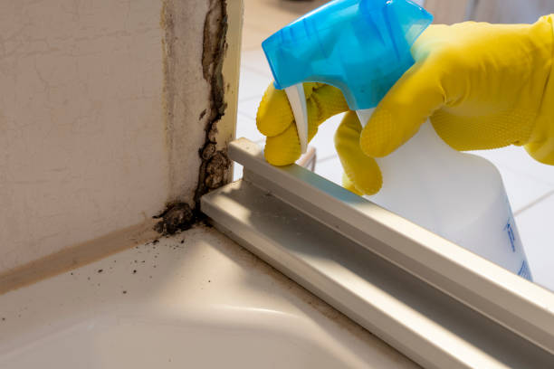 Best Water Damage Restoration  in North Prairie, WI