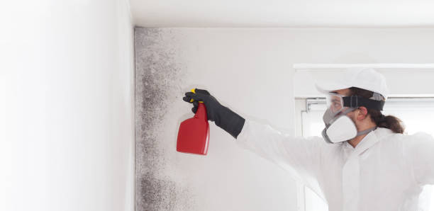 Best Crawl Space Mold Removal  in North Prairie, WI