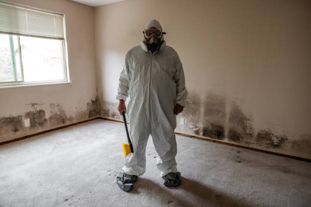 Best Mold Damage Repair  in North Prairie, WI